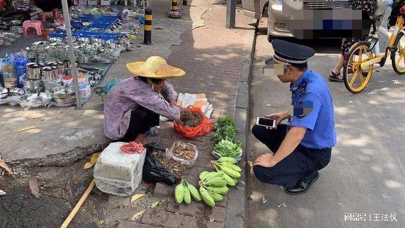 女摊贩遭遇困境，借钱交罚款的艰辛历程_全面解答