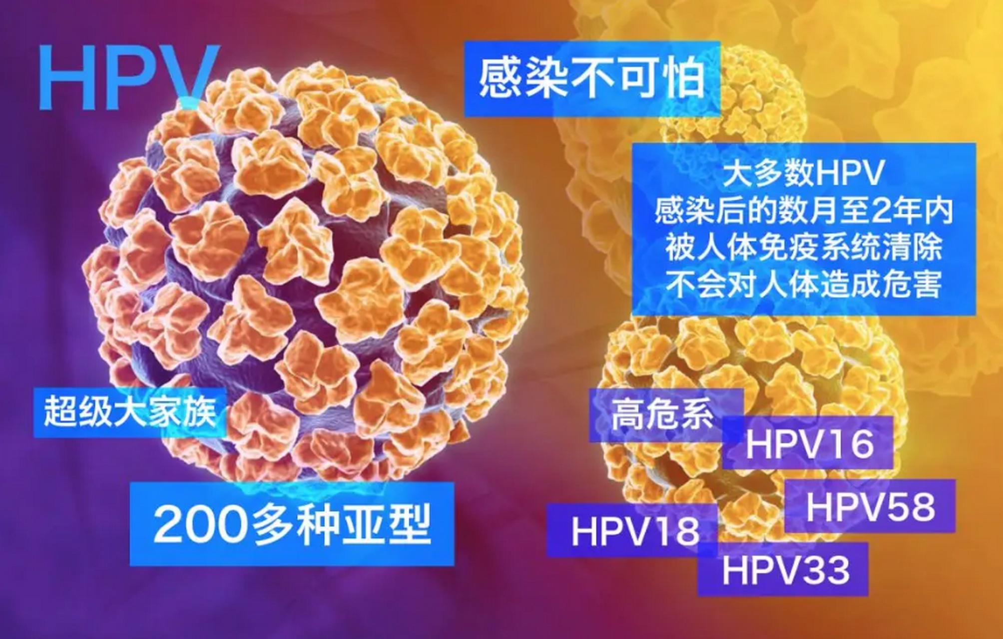 律师谈12岁女孩感染HPV，关于健康权益的法律视角_精准解答落实