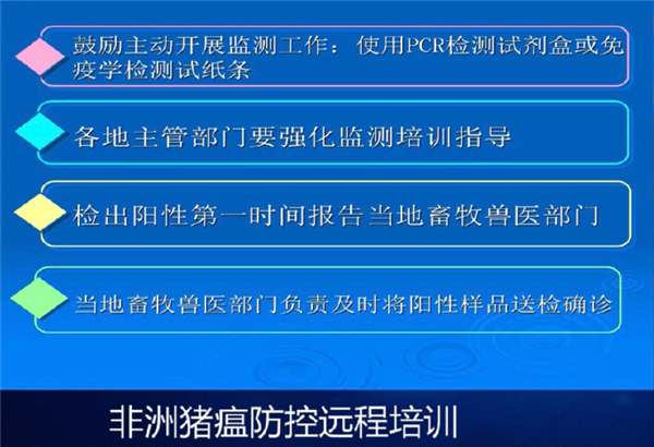 新澳内部资料最准确,方案实施和反馈_手游版45.672