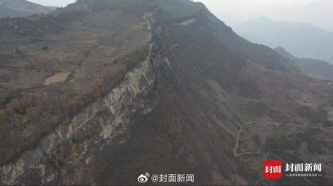 四川一地上百只猴子成群毁庄稼，生态失衡的挑战与应对之道_全面解答解释落实