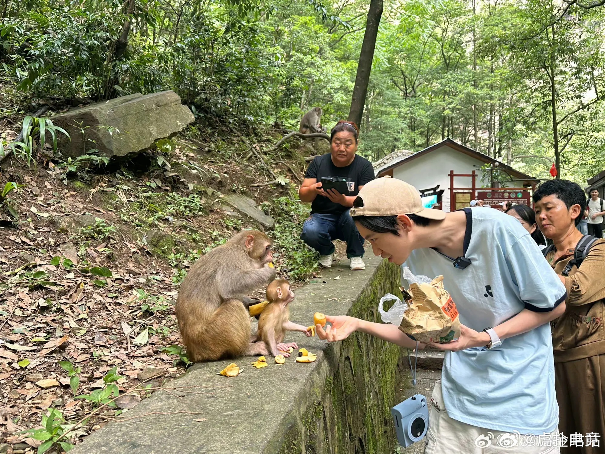 考研第一天，与猴子的纠结_精选解释落实