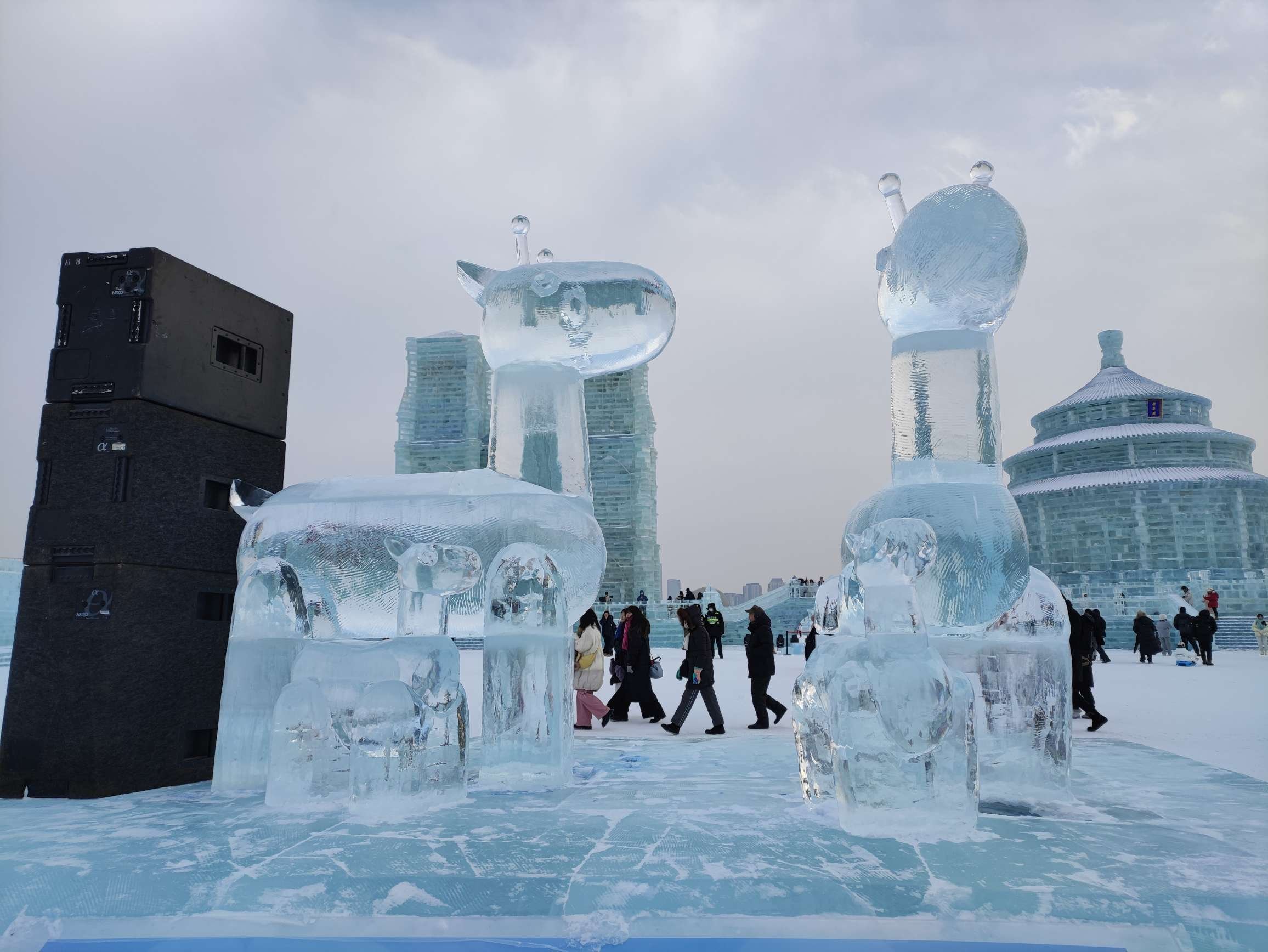 冰雪大世界的奇幻之旅，深度讲解与体验