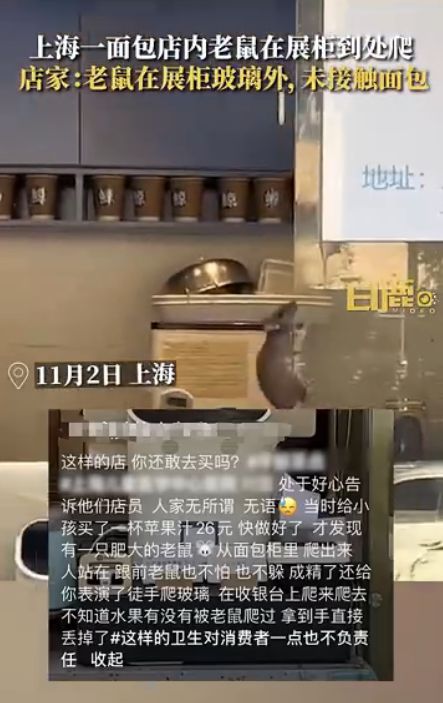 门店面包柜老鼠乱爬，问题分析与应对策略