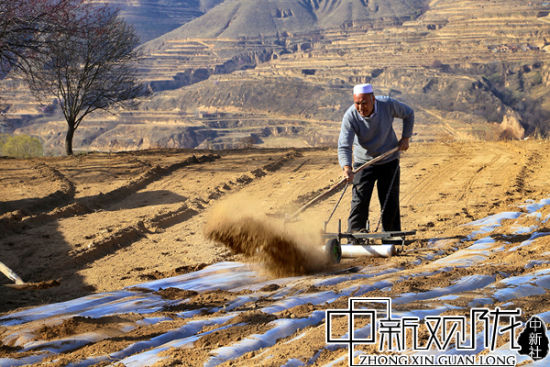 黄土高原铲平，一场生态与工程的博弈