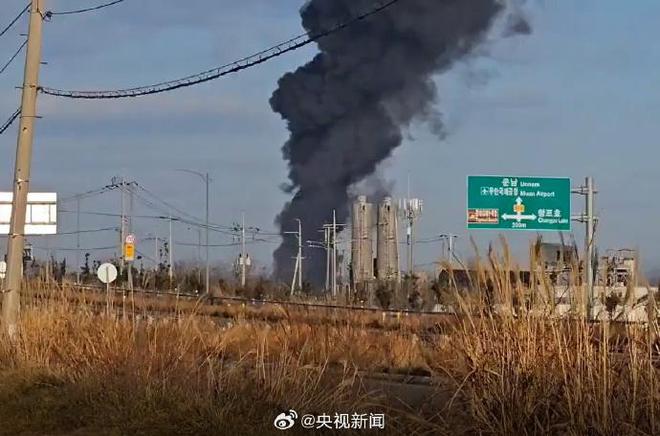 韩国起火客机疑似撞鸟后撞围栏，事故深度解析