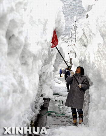 日本多地连降大雪，雪灾之下的生活与应对