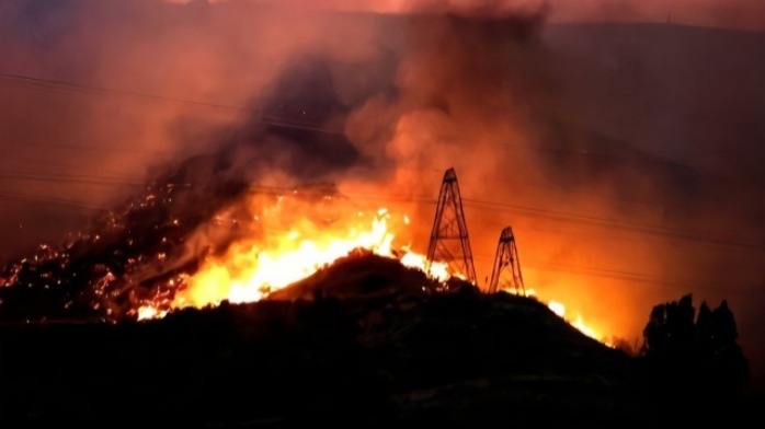 加州山火亲历者，除了逃什么都做不了