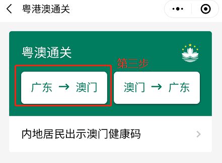 澳门码的全部免费的资料——新机遇与挑战分析怎么写