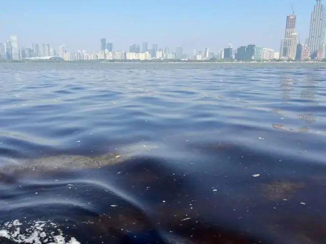 多地海边出现爆爆珠，一场海滩的新晋狂欢