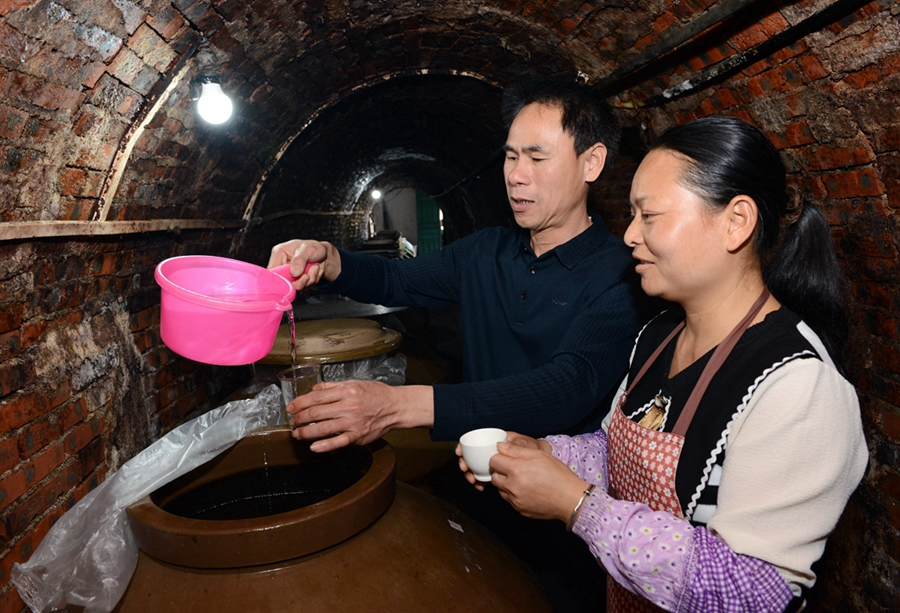 老夫妻在地窖蒸三千斤糯米酿酒，却意外中毒——一场意外的酿酒危机