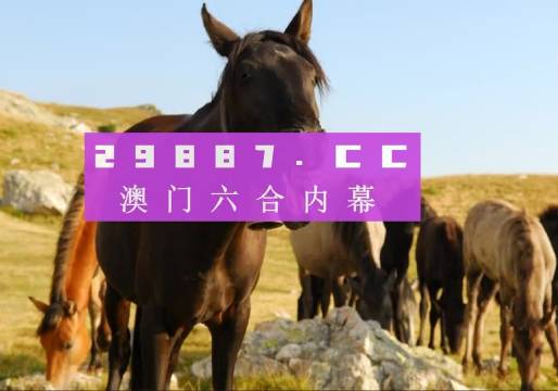 澳门管家婆-肖一码——促进不同文化之间的交流与理解