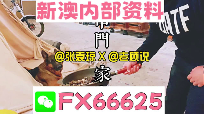 管家婆精准资料免费大全香港——探索内心的深处，寻找自我