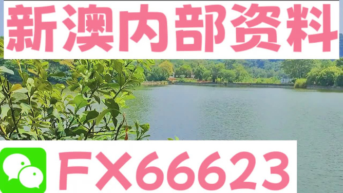 新澳精准资料免费提供网——挑战与机遇怎么写