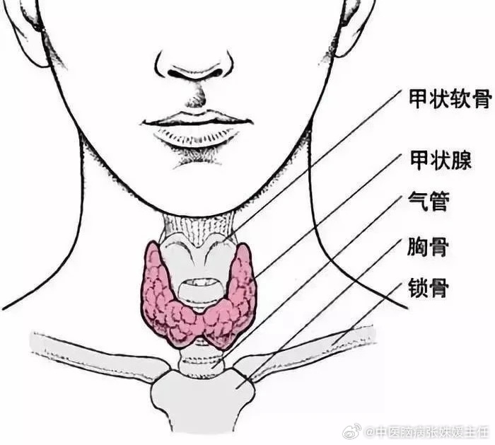 甲状腺好的人都有这几个习惯