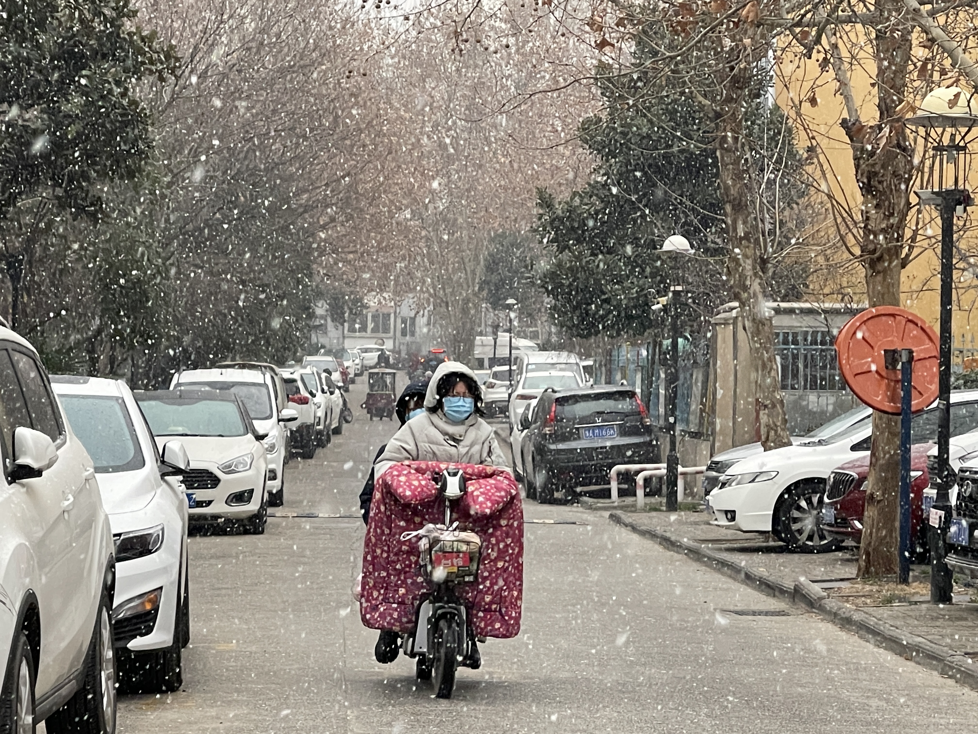 雨雪今起打卡河南，一场不同寻常的气候体验