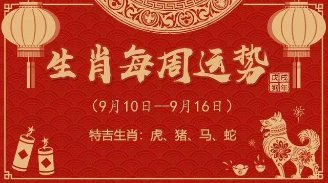 三肖三期必出特马——在城市中发现新的乐趣与惊喜