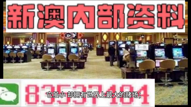 2024新澳精准正版资料——新机遇和挑战的区别