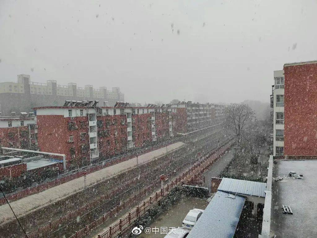 河南多地降下鹅毛大雪，雪映中原，美景如画