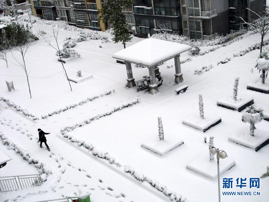 多地迎来大雪，新增积雪深度达八厘米以上